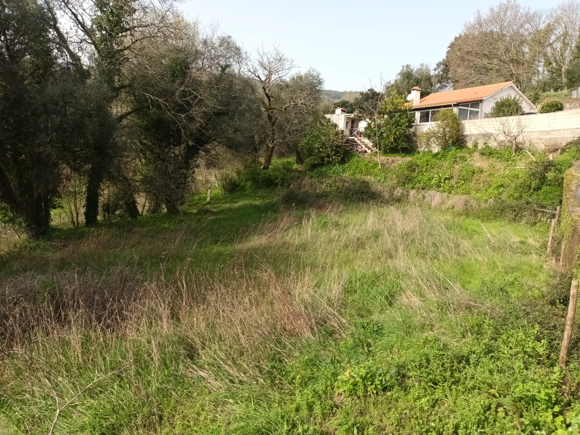 Terreno para construção em Jolda (São Paio)