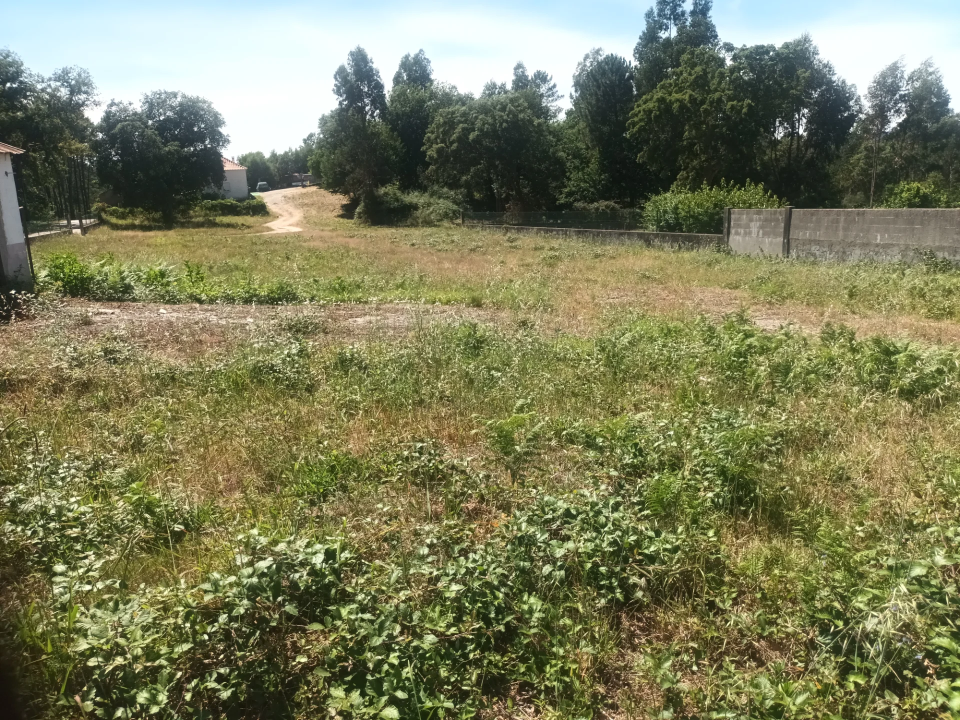 Terreno Urbano para Construção / Cerdal, Valença