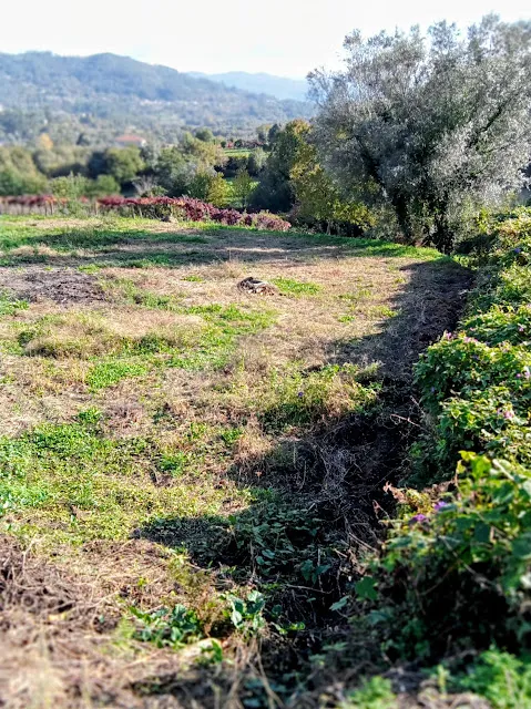 Terreno para Construção em Arcos de Valdevez 